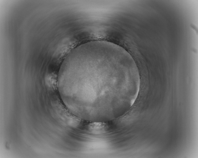 X0000099520672200806051212