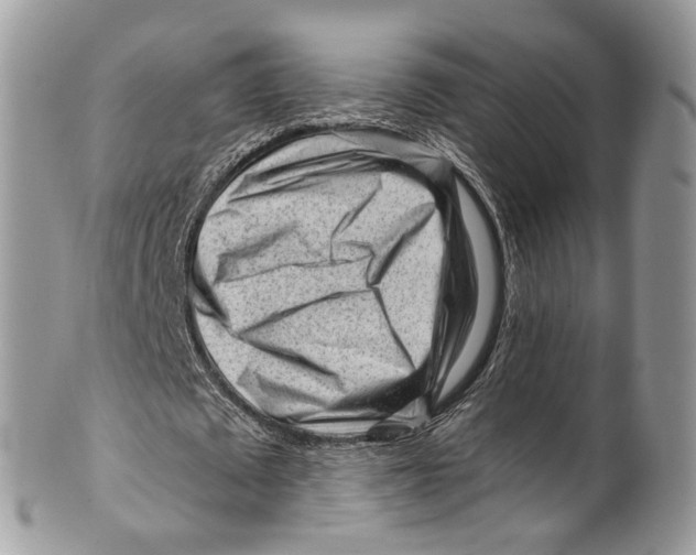 X0000099520673200806051211