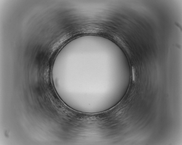 X0000099520675200806051211