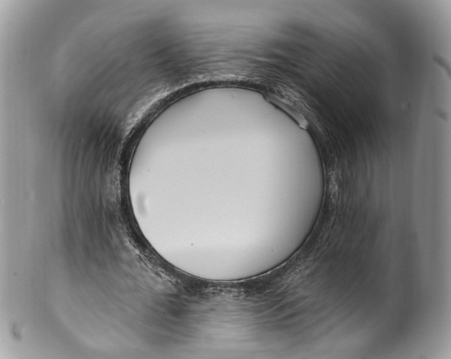 X0000099520676200806051211