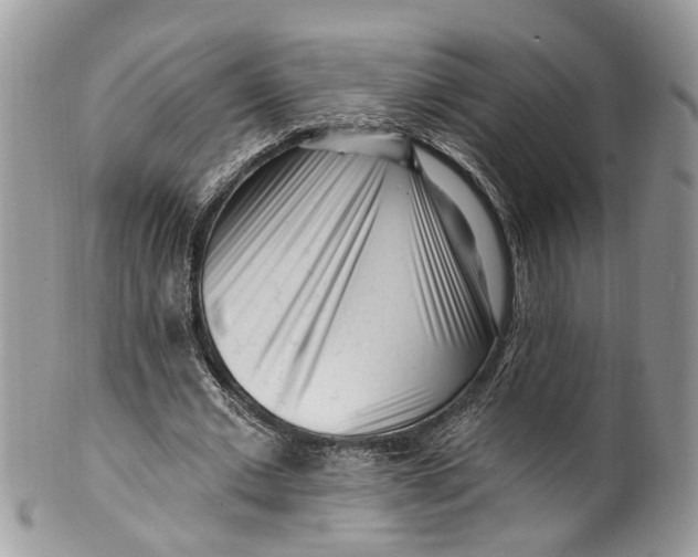 X0000099520677200806051211