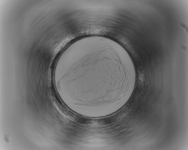 X0000099520678200806051211