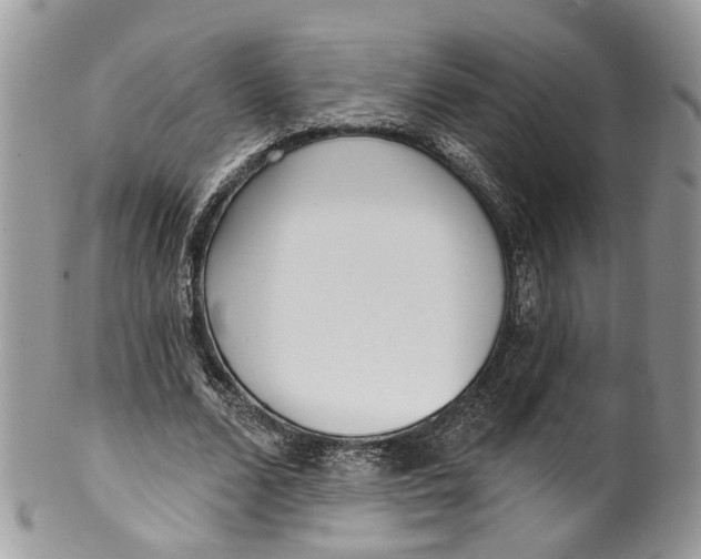 X0000099520680200806051211