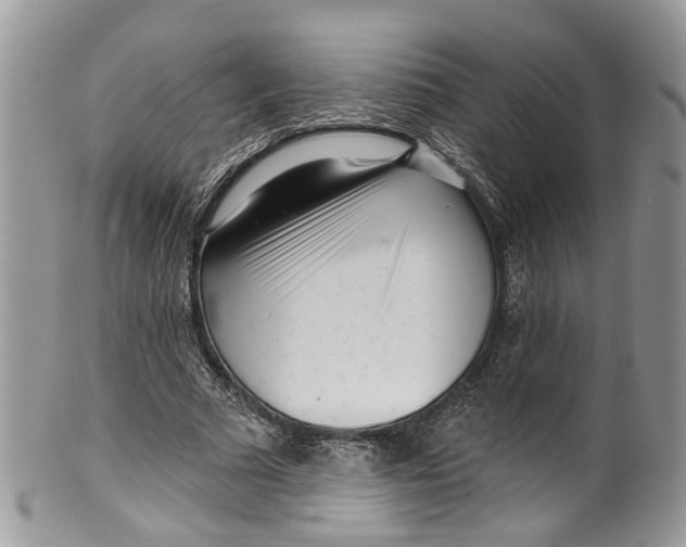 X0000099520681200806051211