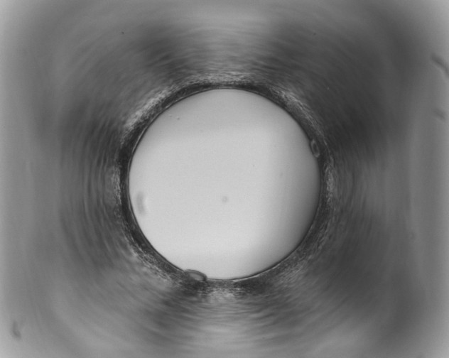 X0000099520684200806051211