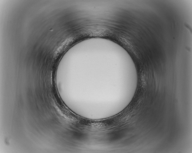 X0000099520686200806051211