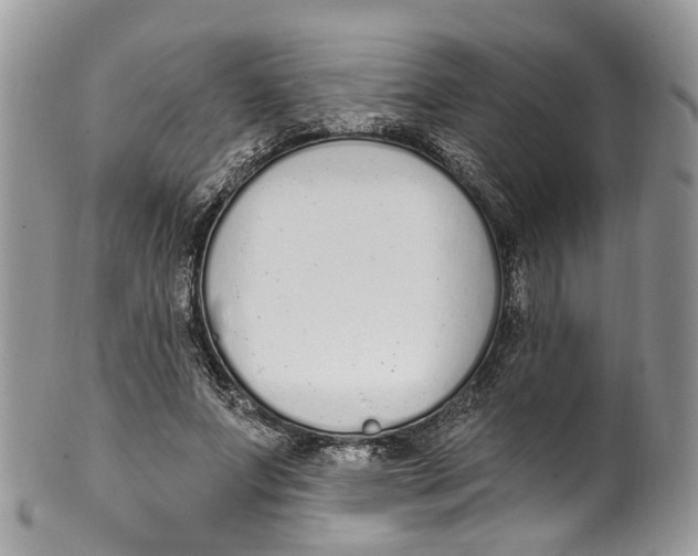 X0000099520687200806051211