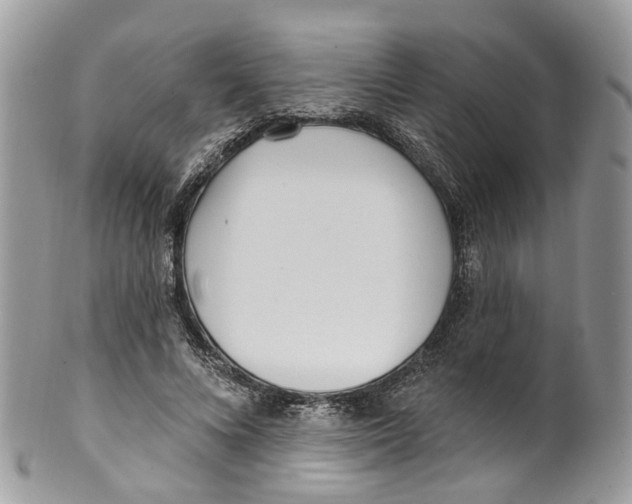 X0000099520688200806051211