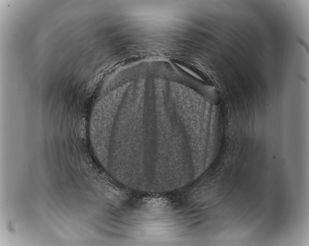 X0000099520689200806051211