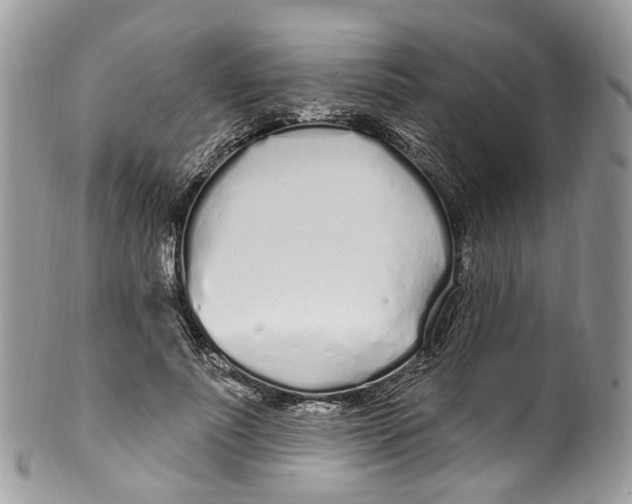 X0000099520691200806051211