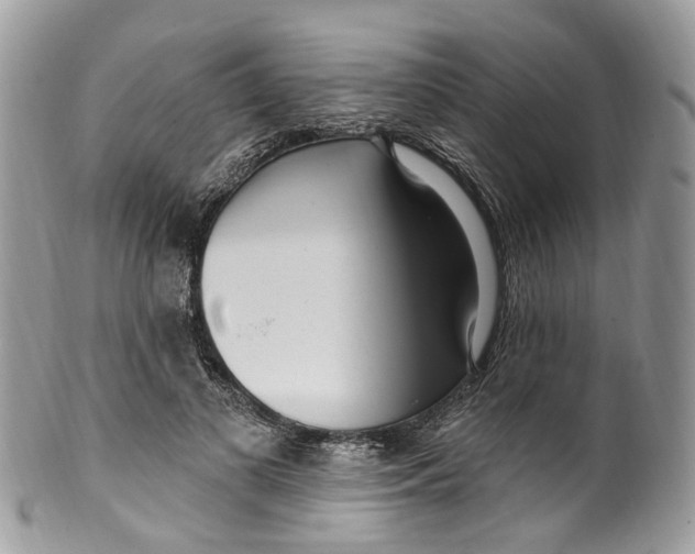 X0000099520693200806051211