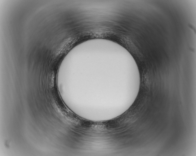 X0000099520694200806051211