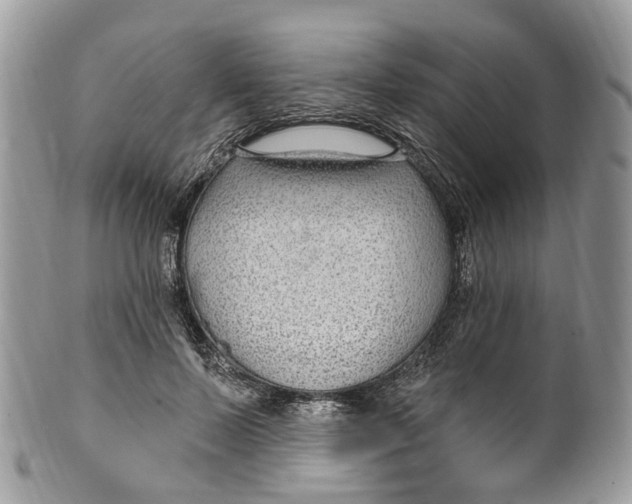 X0000099520695200806051211