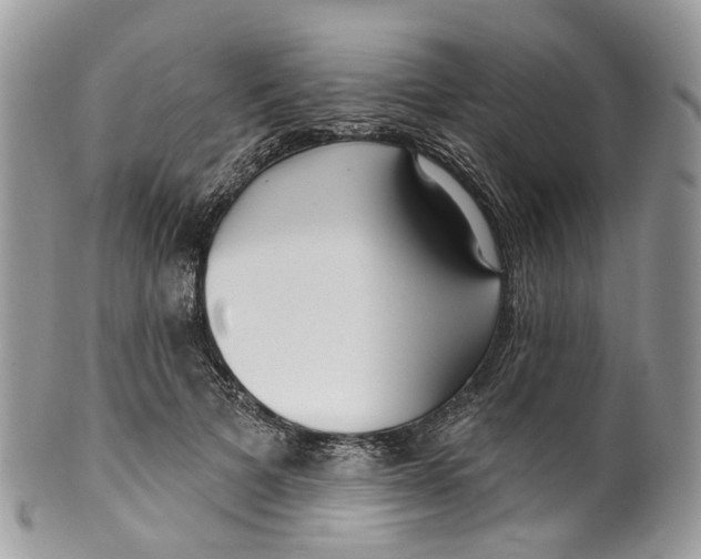 X0000099520697200806051211