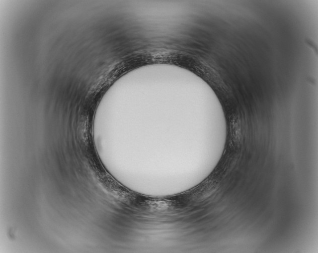 X0000099520698200806051211