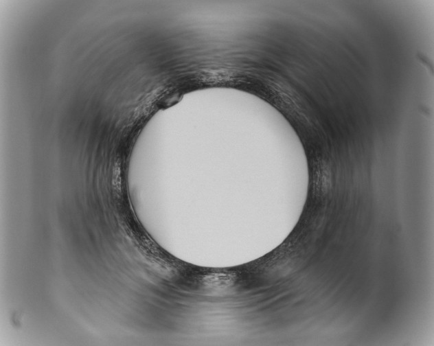 X0000099520700200806051211