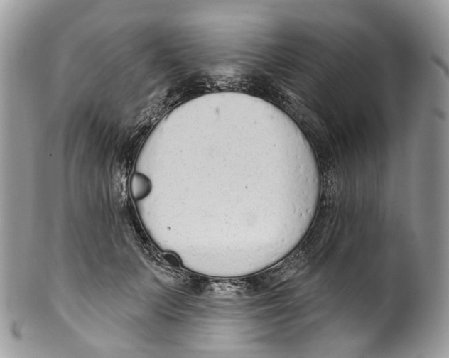 X0000099520703200806051211