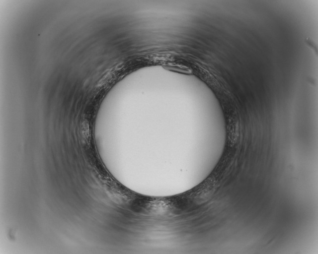 X0000099520704200806051211