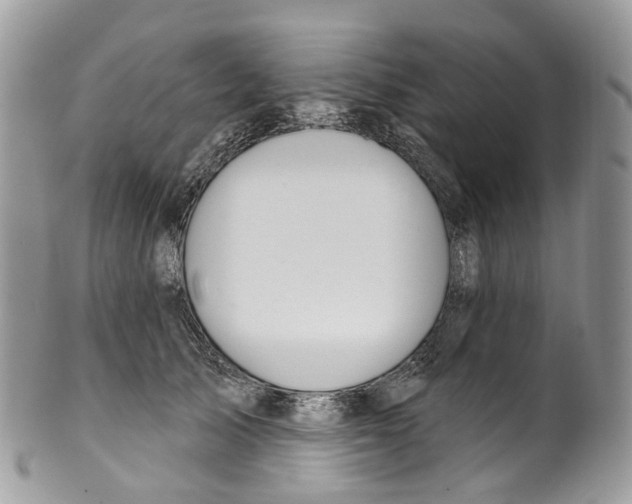 X0000099520705200806051211