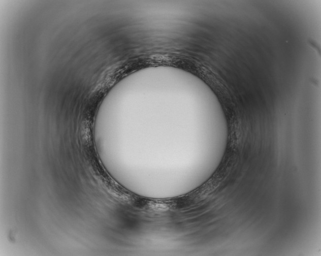 X0000099520706200806051211