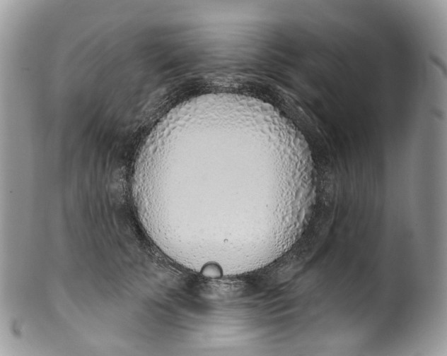 X0000099520707200806051211