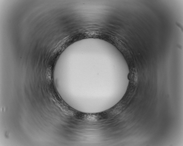 X0000099520710200806051211