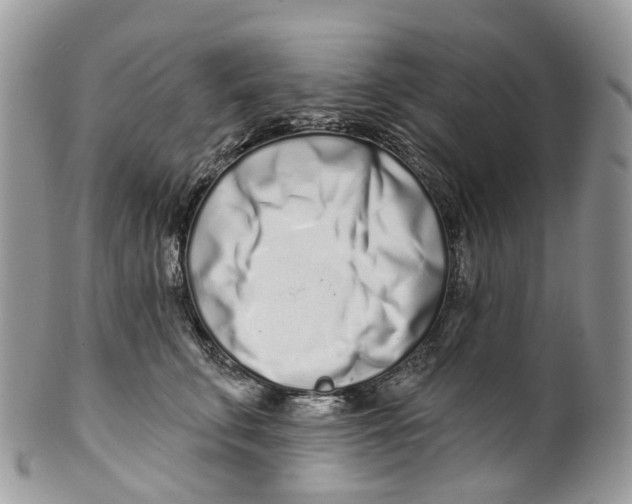 X0000099520711200806051211