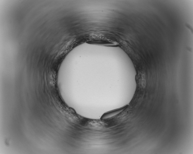 X0000099520712200806051211