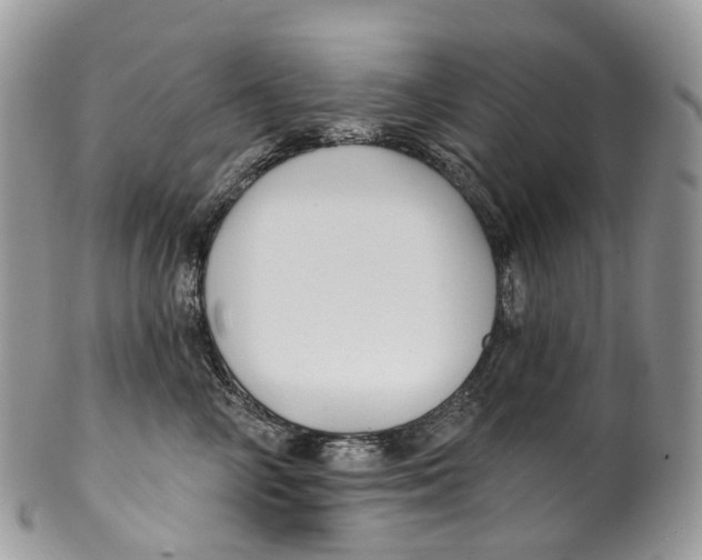 X0000099520714200806051211