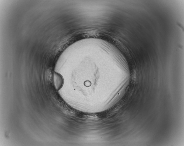 X0000099520715200806051211