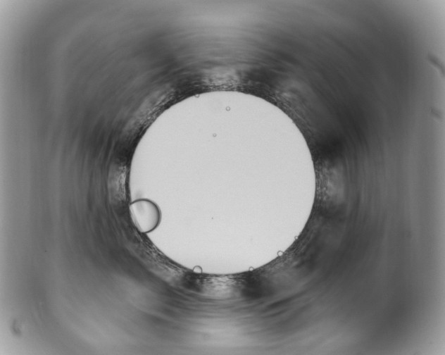 X0000099520717200806051211