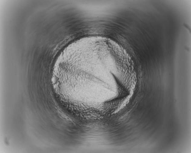 X0000099520721200806051210