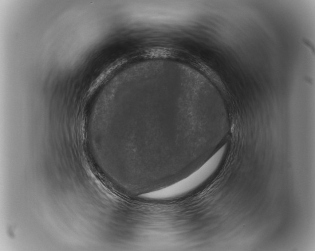 X0000099520722200806051210