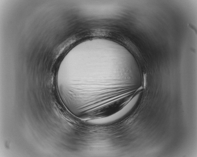 X0000099520723200806051210