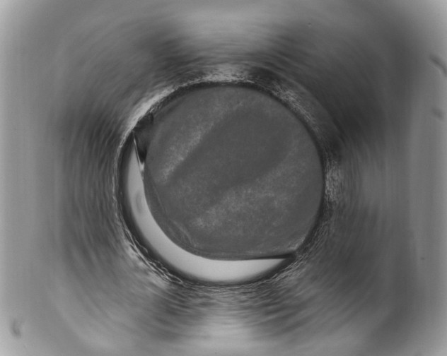 X0000099520724200806051210