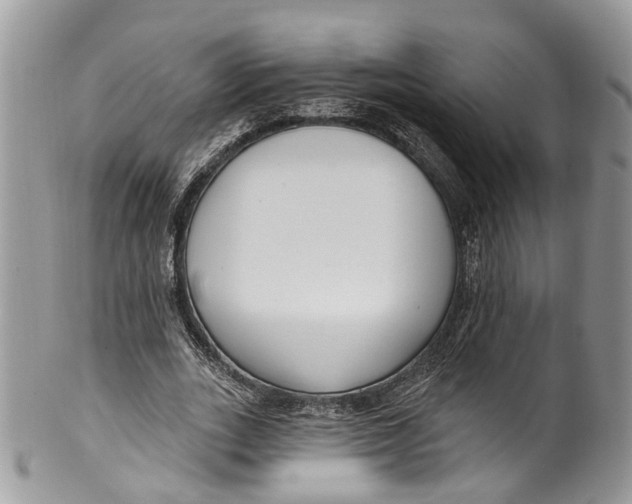 X0000099520727200806051210