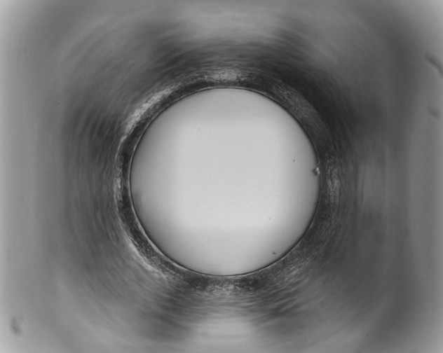 X0000099520728200806051210