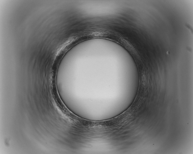 X0000099520730200806051210