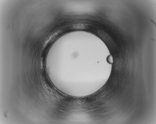 X0000099520731200806051210