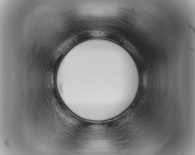 X0000099520733200806051210