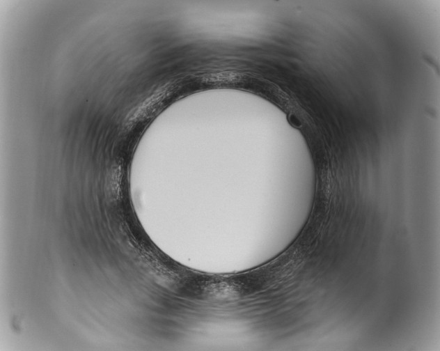 X0000099520735200806051210