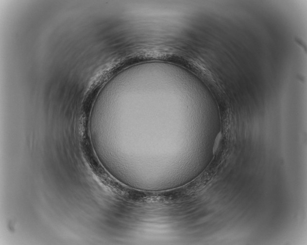 X0000099520736200806051210