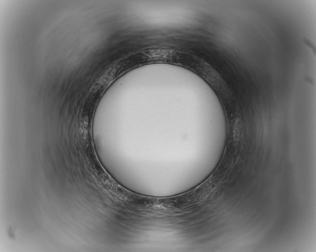 X0000099520737200806051210