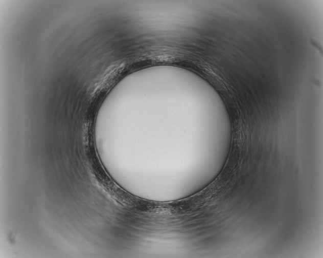 X0000099520738200806051210