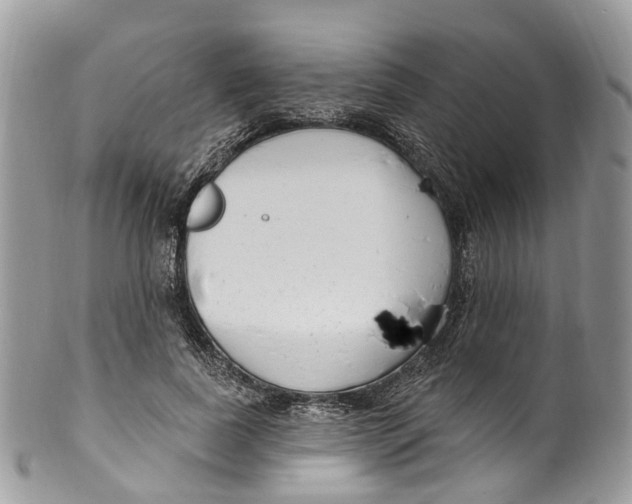 X0000099520739200806051210