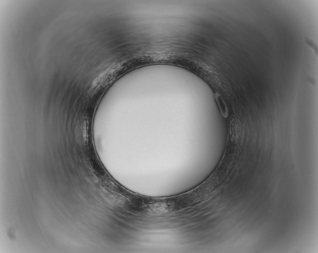 X0000099520740200806051210