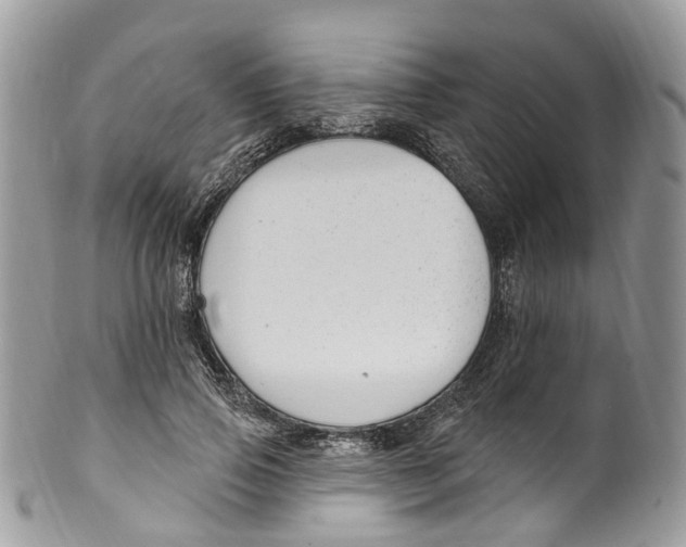 X0000099520741200806051210