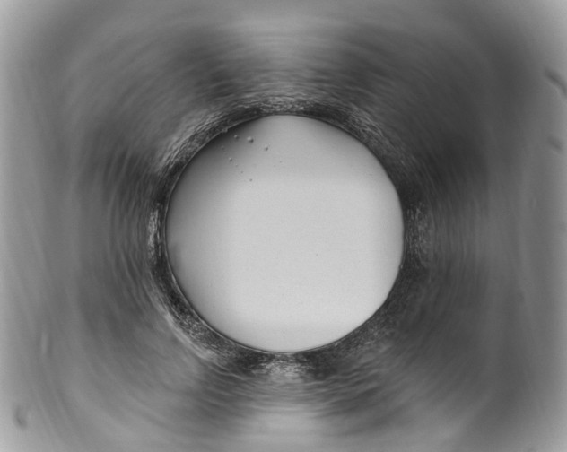 X0000099520742200806051210