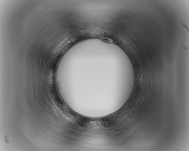 X0000099520744200806051210