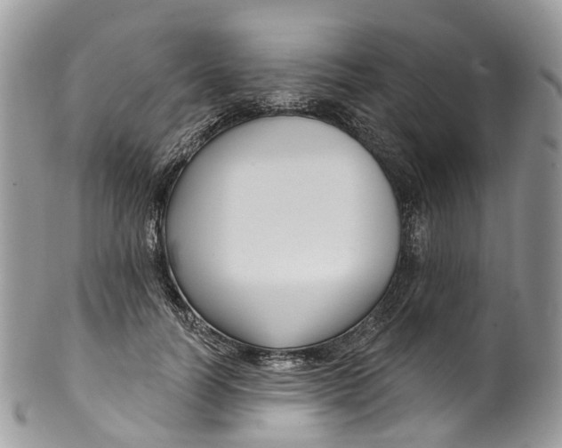 X0000099520746200806051210